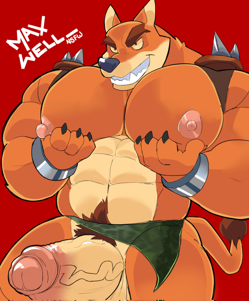 Tiny Tiger (Crash (Series)) Rule 34 Image