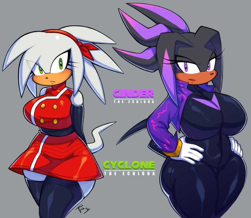 Oc (Sonic (Series)) Rule 34 Image