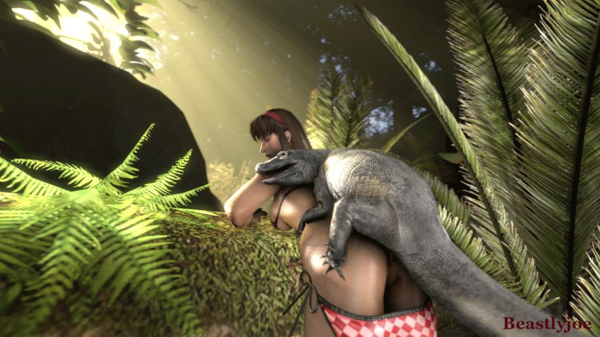 Hitomi (Doa) Rule 34 Image