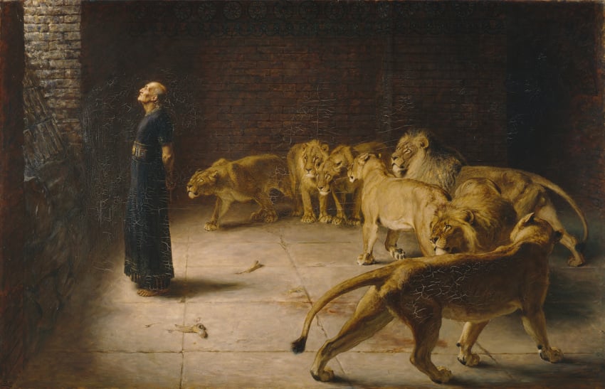 1890 19th_century ancient_art balls bible briton_riviere christianity clothed clothing felid female feral genitals group human lion male mammal mane oil_painting_(artwork) older_male pantherine pawpads paws public_domain quadruped religion tail tail_tuft tuft