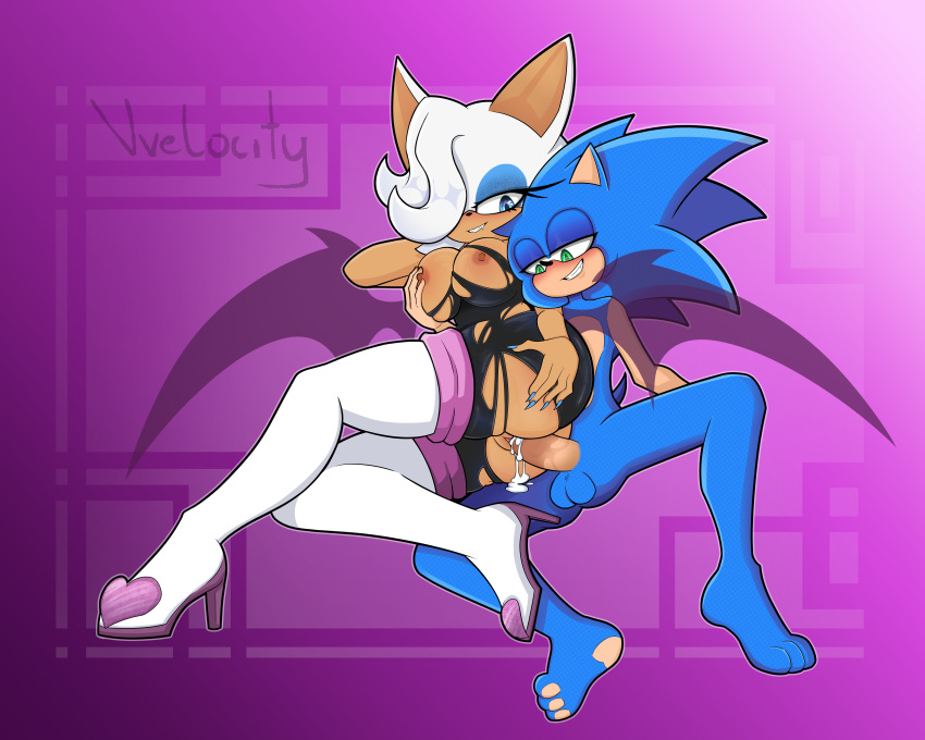 Rouge The Bat (Sega) Rule 34 Image