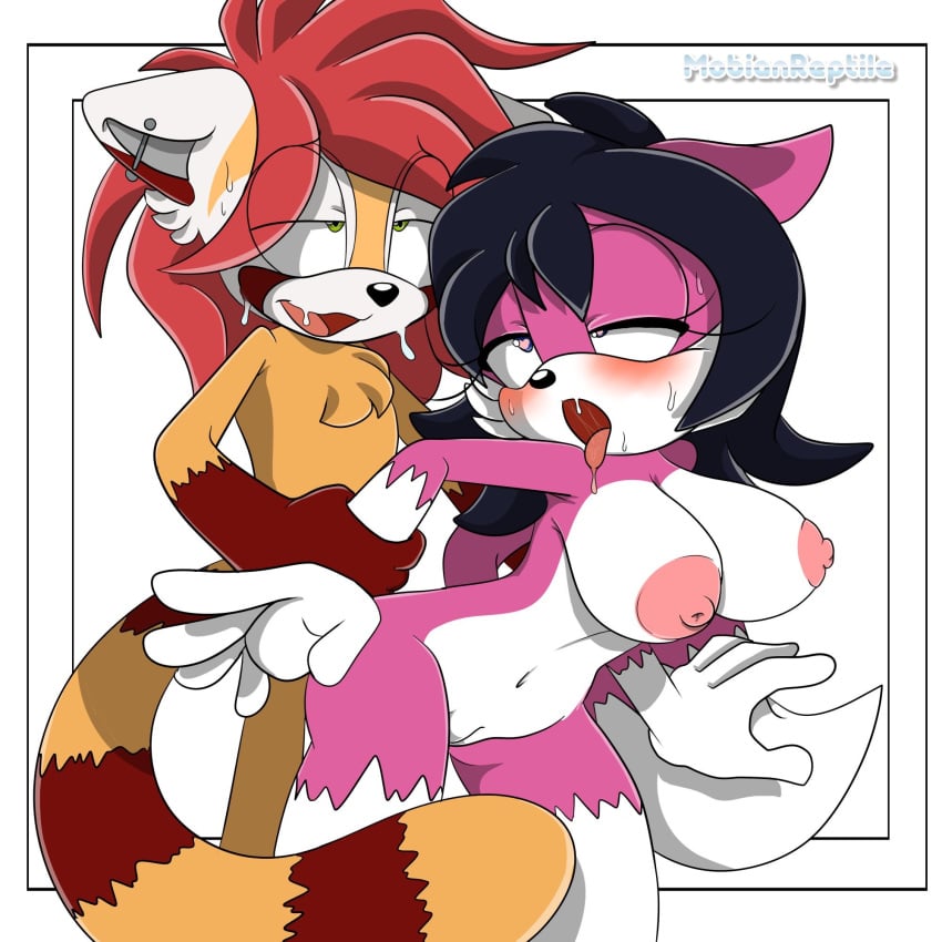 ahe_gao belly_button big_nipples blue_eyes blush breasts chest_fur dark_hair dark_red_fur ear_piercing ears_down eyelashes female female_fox fox fucking green_eyes half-closed_eyes heart_eyes holding_arms nipples oc orange_fur original_character pink_fur pussy red_hair red_panda sex simple_background sonic_(series) sonic_oc star_jackson straight sweating tail tongue_out white_fur