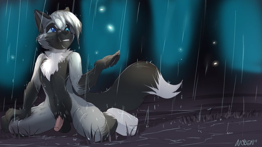 2015 balls blue_eyes canine fox fur grey_fur hair kneeling male mammal night noben nude outside penis raining rikky solo spread_legs spreading water wet white_fur white_hair