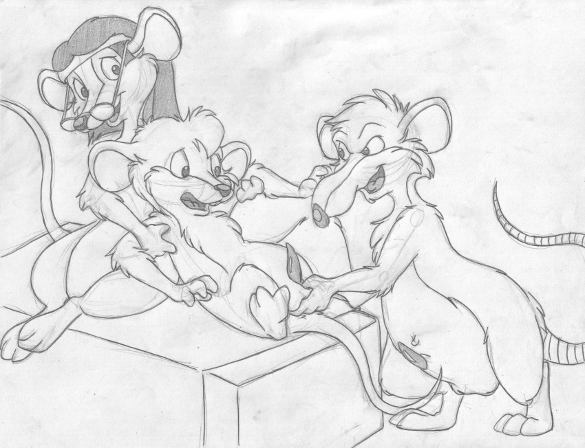 ball_fondling balls berkeley_(capitol_critters) capitol_critters digitigrade erection female fondling forced greyscale grope group imminent_rape jammett_(capitol_critters) lying male mammal max_(capitol_critters) mizzyam monochrome mouse naughty_face nude on_back open_mouth pencil_(artwork) penis rat reclining restrained rodent sheath sitting standing struggling tapering_penis traditional_media_(artwork) yaoi