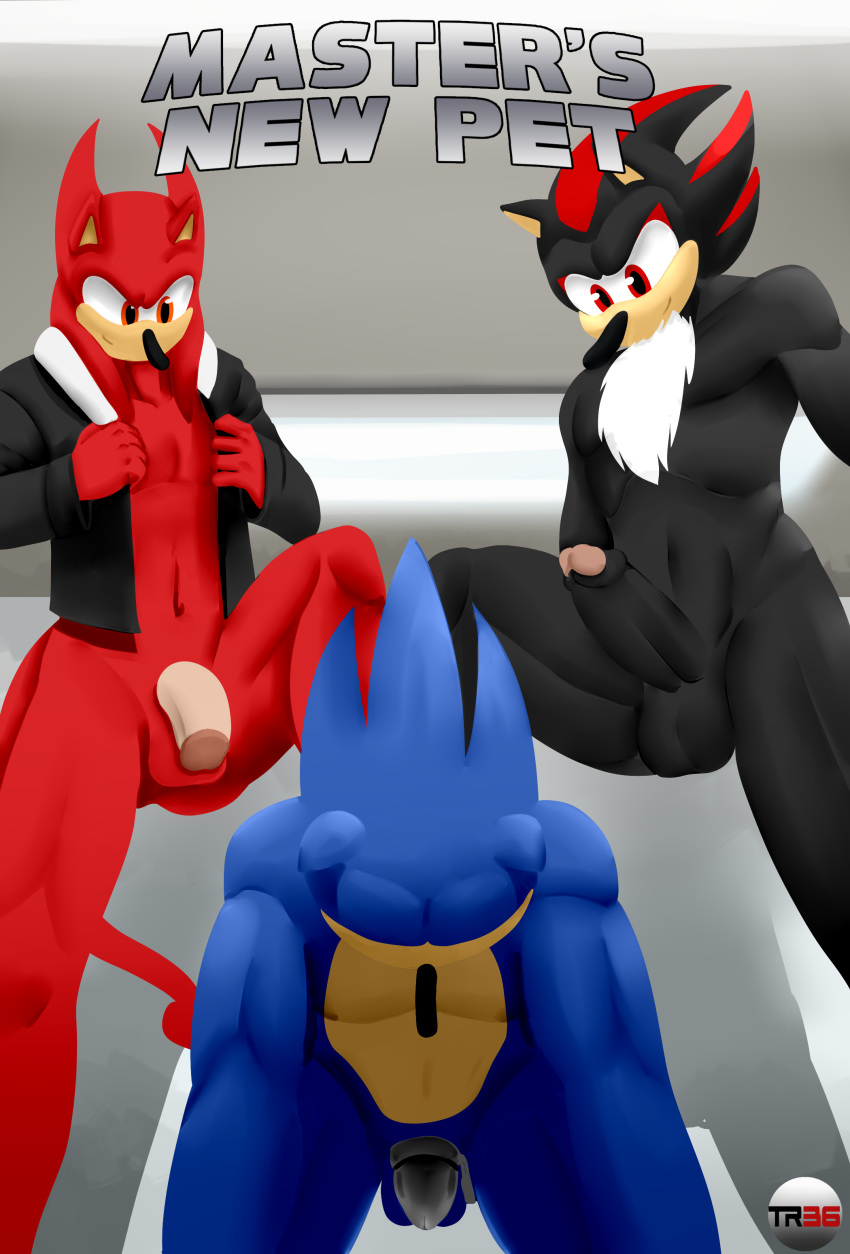 2010 anthro anthro_only august balls blue_arms blue_fur furry furry_only hedgehog mammal no_humans penis shadow_the_hedgehog slave sonic_(series) sonic_the_hedgehog sonic_the_hedgehog_(series) threesome trooper036 yaoi