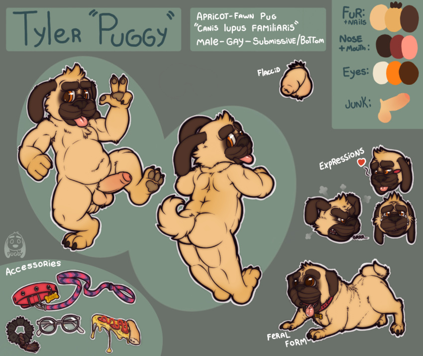 1boy action_pose anthro ass balls barefoot canine collar color_swatch dog_toy english_text erection expressions eyewear feral flaccid food glasses headshot_portrait humanoid_penis leash male male_only mammal model_sheet nude on_one_foot original original_character partially_retracted_foreskin penis pizza portrait pug puggy puggy_(character) signature smile solo standing text tongue tongue_out uncut waving