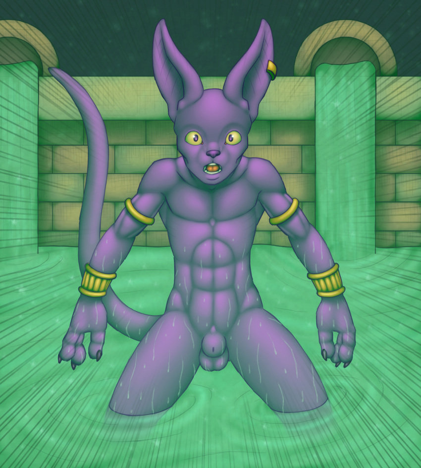 1boy anthro anthro_only balls beerus chokodonkey dragon_ball dragon_ball_super feline flaccid hi_res male male_only mammal nude sheath solo standing wet