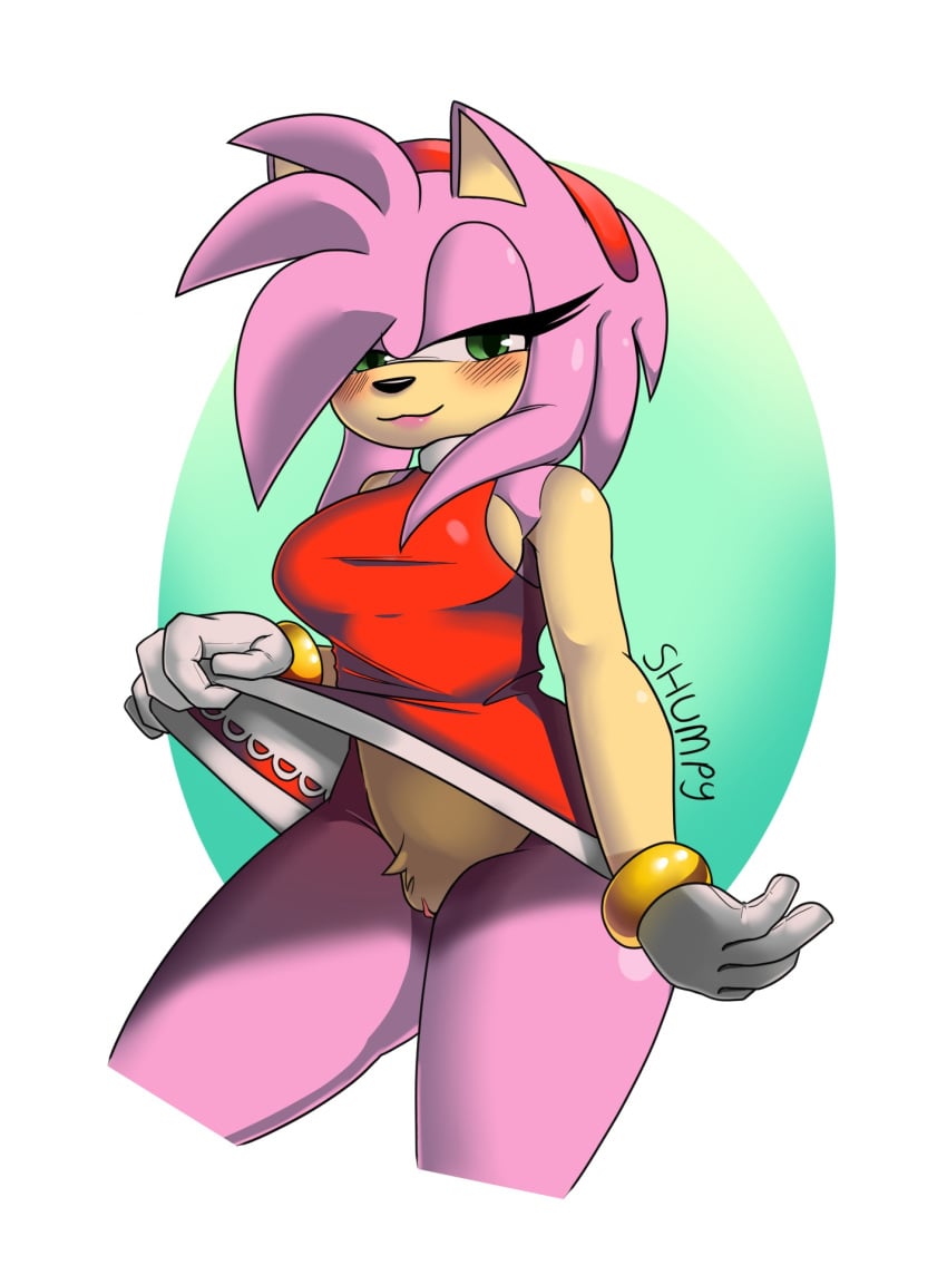 abstract_background amy_rose anthro bedroom_eyes big_breasts blush breasts clothed clothing clothing_lift dress dress_lift eulipotyphlan female fur genitals gloves green_eyes handwear hedgehog hi_res looking_at_viewer mammal narrowed_eyes no_underwear pink_body pink_fur portrait pussy seductive sega shumpy signature solo sonic_(series) sonic_the_hedgehog_(series) source_request three-quarter_portrait