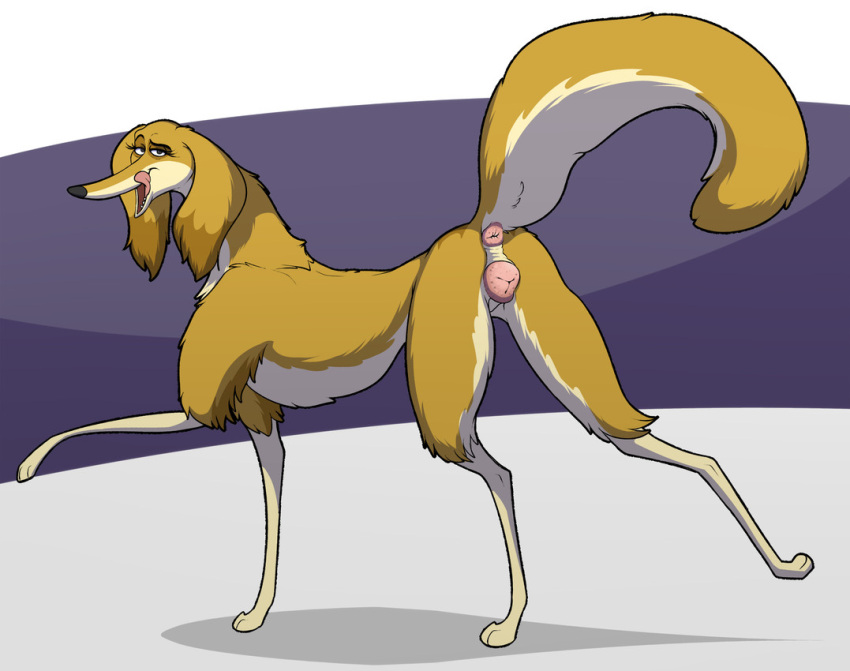 Fixed (Film) Rule 34 Image