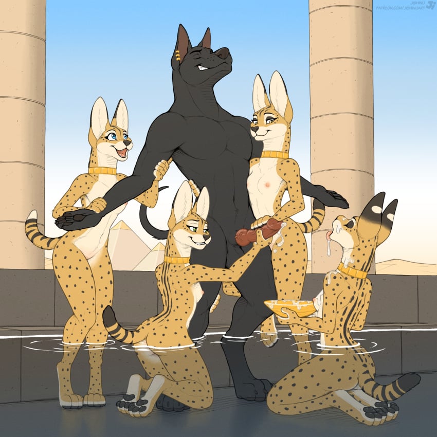 4 Toes Rule 34 Image