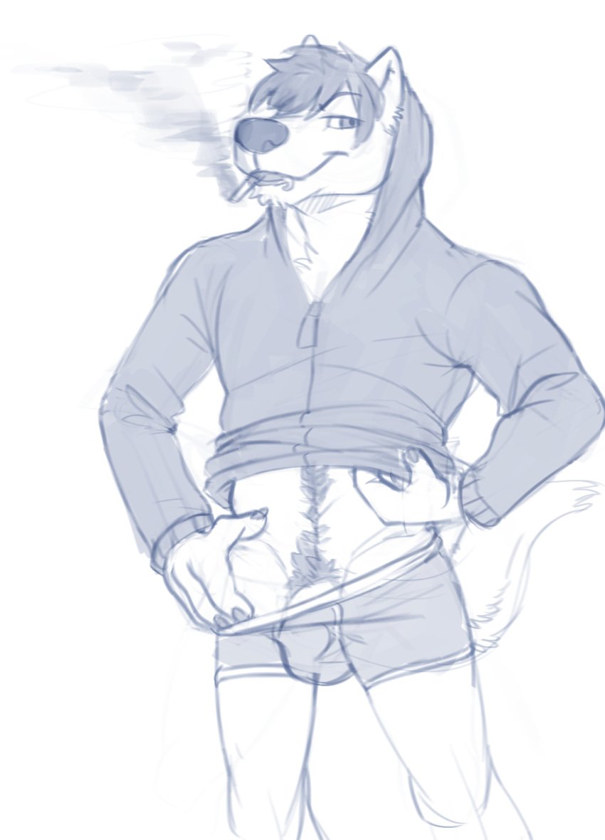 1boy anthro canine clothing hi_res horrorbuns looking_at_viewer male male_only mammal monochrome muscular penis simple_background solo teasing underwear white_background wolf