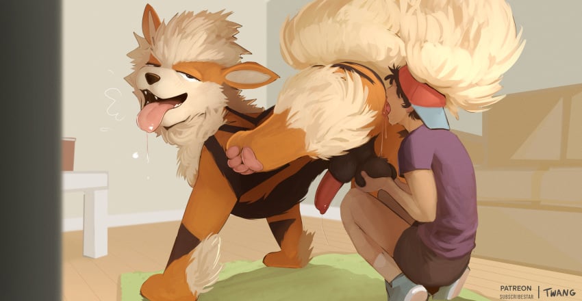 anal animal_genitalia animal_penis anus arcanine ass balls bodily_fluids brown_body brown_fur canine_genitalia canine_penis clothed clothing crouching digital_media_(artwork) duo erection feet feral fur generation_1_pokemon genital_fluids genitals hair hat headgear headwear hi_res hindpaw holding_balls human human_on_feral human_rimming_feral human_rimming_male interspecies leaking_precum looking_back looking_pleasured male male/male male_rimming_male mammal multicolored_body multicolored_fur nintendo nude one_leg_up oral orange_body orange_fur paws penis pokemon pokemon_(species) pokephilia precum precum_string raised_leg rimming rimming_male saliva saliva_string sex sheath tail teeth tongue tongue_out twang white_body white_fur zoophilia