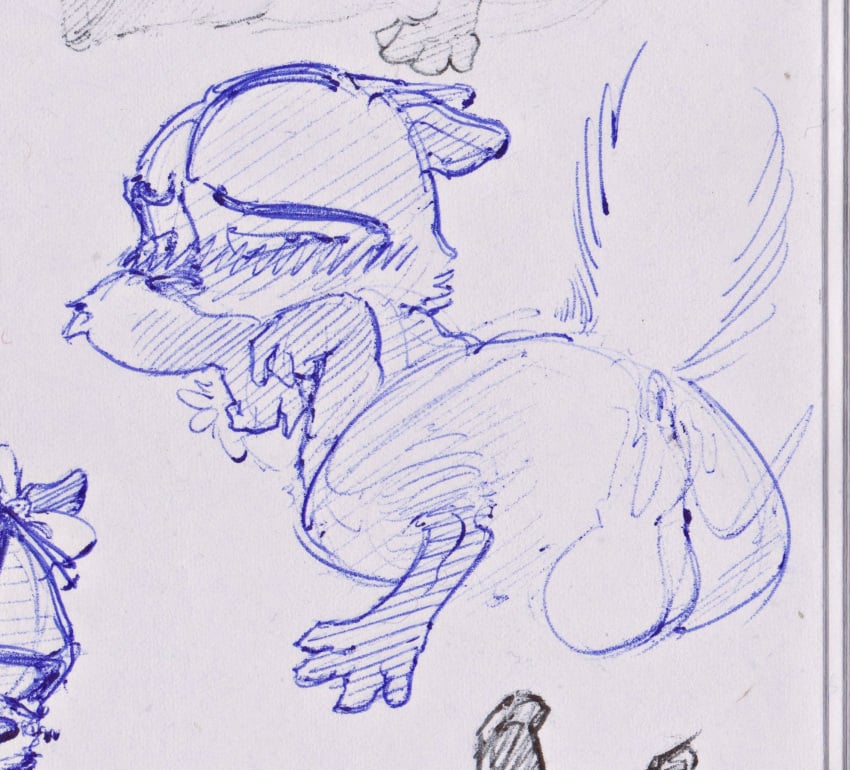 1boy anthro ass balls blush blushing dreamworks dreamworks_animation male male_only mammal over_the_hedge paramount_pictures procyonid raccoon ram_satinga rj_(over_the_hedge) sketch tail