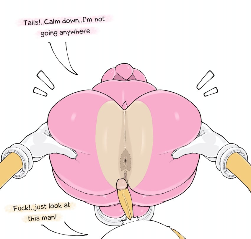 amy_rose anus ass blabo00 dialogue female foreskin furry huge_ass male penis sega small_penis sonic_(series) tails_the_fox