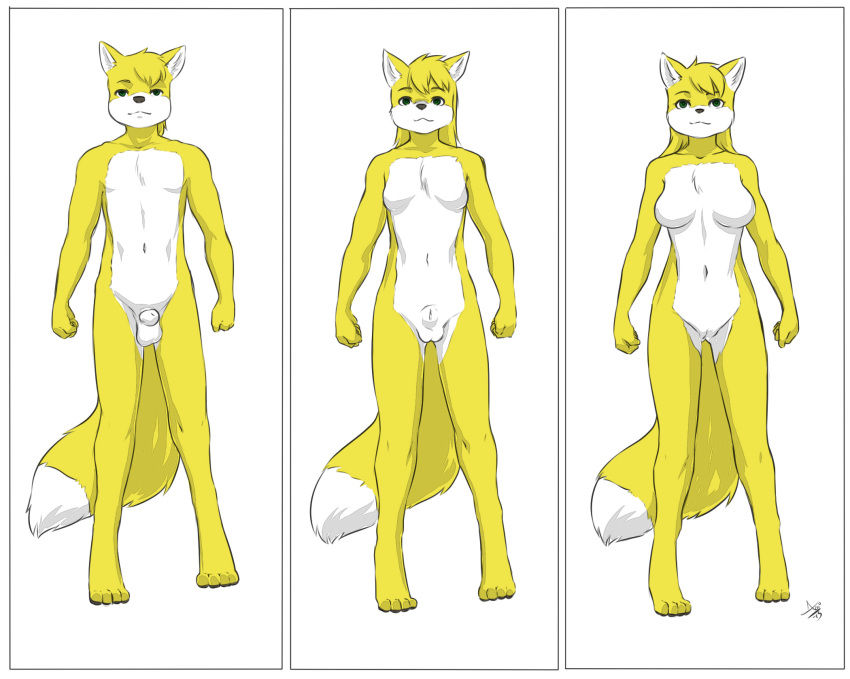 2015 animal_genitalia anthro aogami big_breasts breasts canine canine_penis digitigrade female fox gender_transformation hi_res male mammal miles_yellow mileymouse mtf_transformation nude penis pussy rule_63 sheath small_breasts transformation