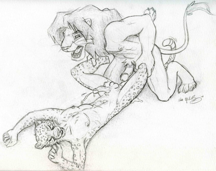 5_fingers anthro balls cheetah chris_mckinley closed_eyes cum cum_on_chest cum_on_self cum_on_stomach cumshot duo erection feline hand_on_leg humanoid_penis kneeling leg_grab lion lying male mammal nipples on_back open_mouth orgasm pencil_(artwork) penis pubes sketch spots tongue traditional_media_(artwork) yaoi