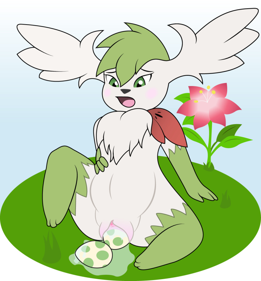 2015 anthro belly big_belly blush egg egg_laying female green_eyes infamousrel legendary_pokemon mammal nintendo nude open_mouth pokeandpenetrate pokemon pokemon_(species) pregnant pussy pussy_juice shaymin simple_background solo solo_focus video_games