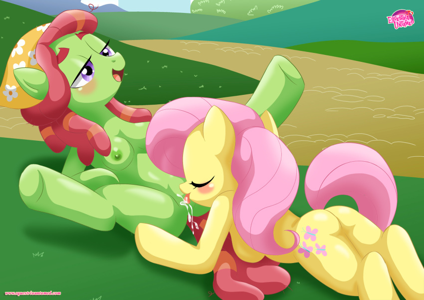 2girls earth_pony equestria_untamed female fluttershy_(mlp) friendship_is_magic hippie multiple_girls my_little_pony pegasus sex straight_hair tagme tree_hugger tree_hugger_(mlp) yuri