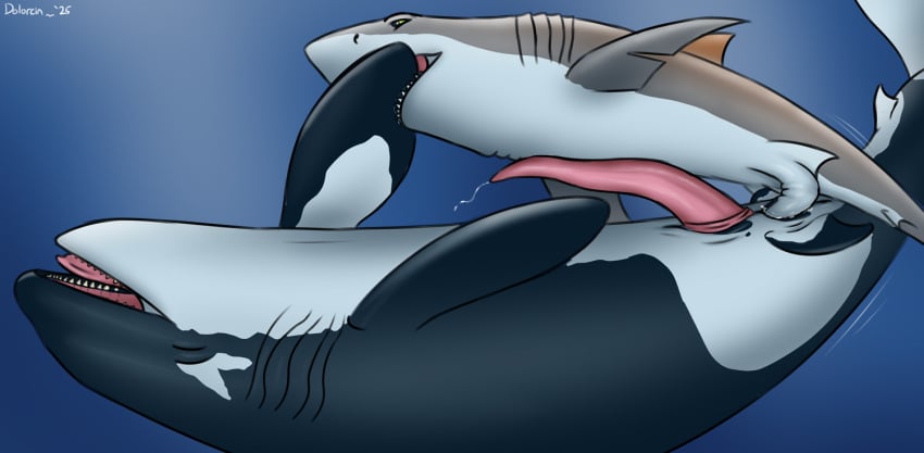2025 animal_genitalia animal_penis anus bite black_body bodily_fluids cetacean cetacean_genitalia cetacean_penis claspers closed_eyes countershading dolorcin dolphin dorsal_fin duo erection feral feral_on_feral feral_penetrated feral_penetrating feral_penetrating_feral fin fish genital_fluids genital_slit genitals gills great_white_shark grey_body herm herm/male herm_feral herm_penetrated hybrid intersex intersex/male intersex_feral intersex_penetrated interspecies larger_herm larger_intersex larger_penetrated looking_pleasured mackerel_shark male male_feral male_penetrating male_penetrating_herm male_penetrating_intersex mammal marine marmire motion_lines notched_fin oceanic_dolphin open_mouth orca pectoral_fin penetration penile penile_penetration penis penis_in_pussy precum pussy sex shark size_difference smaller_male tapering_penis toothed_whale underwater vaginal_penetration vaginal_penetration water white_body white_shark year yellow_eyes