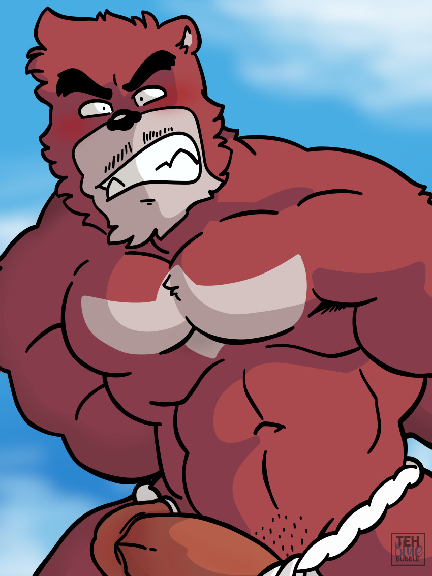 abs angry anthro bear biceps big_eyebrows biped black_eyes black_nose blue_sky blush cel_shading chest_markings circumcised clenched_teeth clothed clothing countershade_face countershading embarrassed facial_hair front_view frown fundoshi fur fur_tuft glans grey_countershading grey_fur grizzly_bear half-erect head_tuft hi_res huge_muscles humanoid_penis japanese_clothing kumatetsu looking_at_viewer male male_only mammal manly markings moustache multicolored_fur muscular muscular_male navel orange_penis outside pecs penis poking_out red_fur sky solo stubble teeth tehbluebubble the_boy_and_the_beast topless tuft two_tone_fur underwear watermark