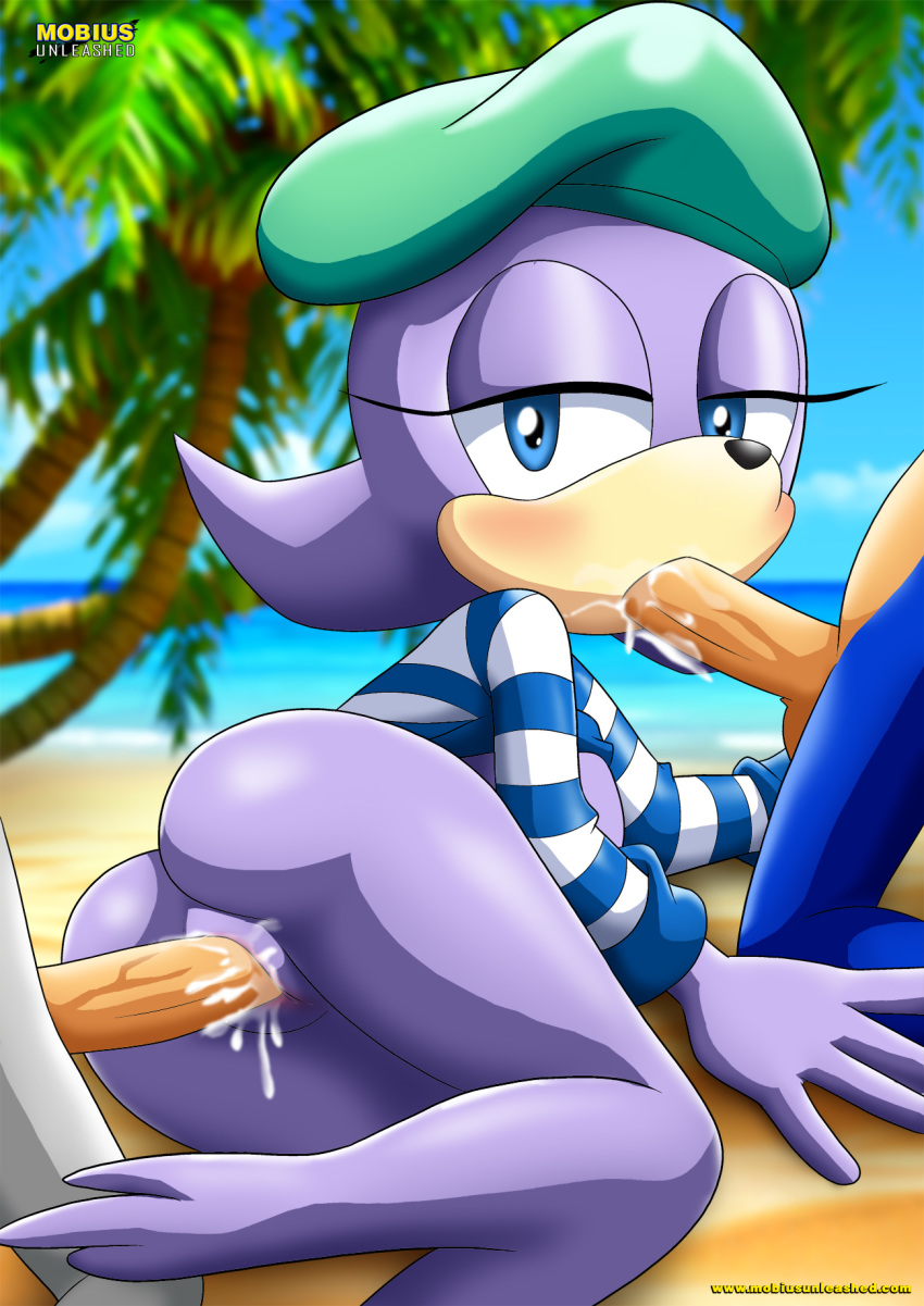 female mobius_unleashed oral sealia_seal sega sex sonic_(series) sonic_the_hedgehog spitroast tagme threesome