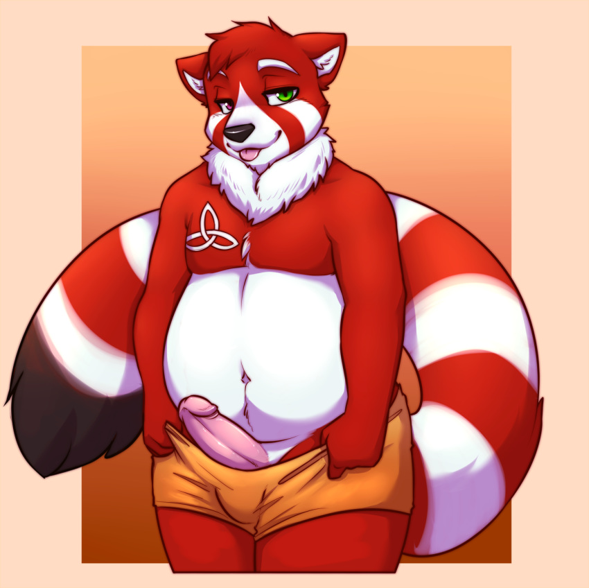 anthro coy erection fluffy_neck fur heterochromia lockworkorange male male_only mammal penis presenting red_fur red_panda shy slightly_chubby tongue tongue_out tuft veska_(zakurei)