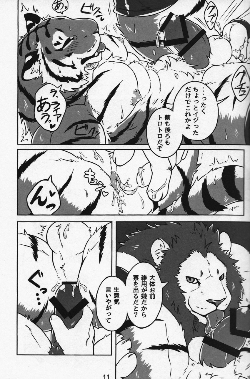 anthro biceps big_muscles bulge censored chest_tuft clothing comic cum duo feline fur giraffe_(artist) japanese_text lam-chan lion lion-san male male_only mammal muscular muscular_male nipples penis text tiger tongue tuft underwear