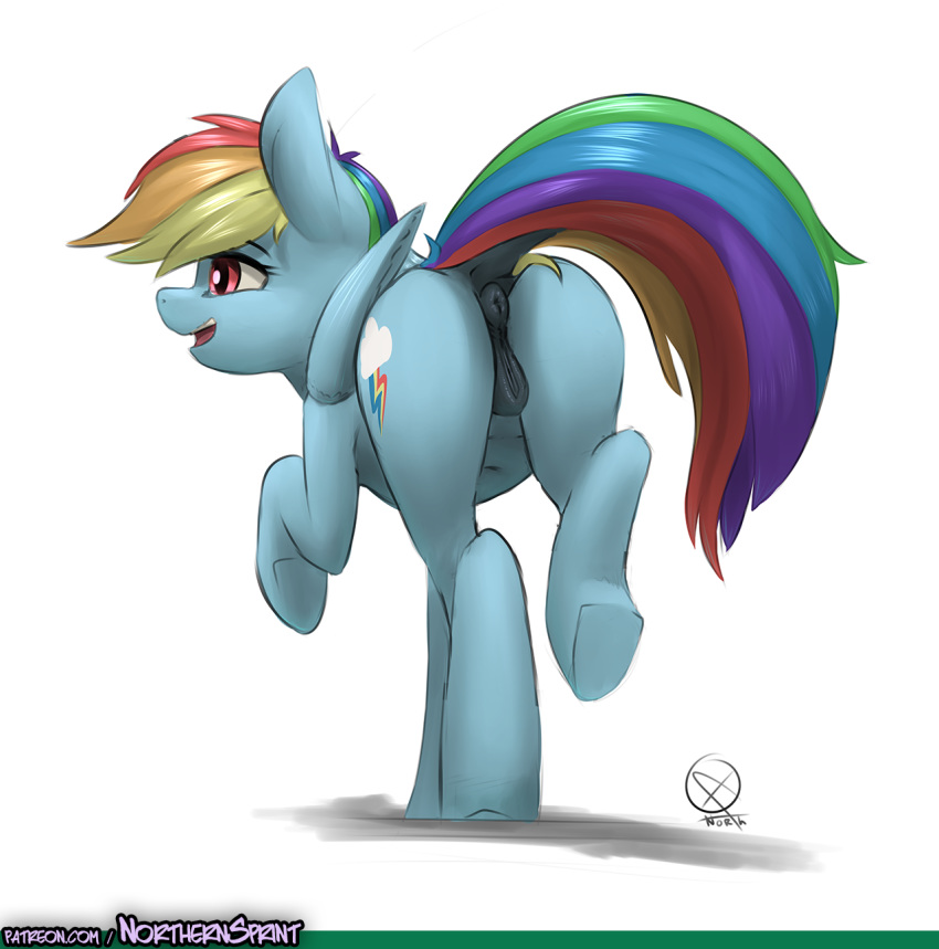 2016 anatomically_correct anatomically_correct_pussy animal_genitalia anus ass cutie_mark dock equine equine_pussy female feral friendship_is_magic hair hooves mammal multicolored_hair my_little_pony northernsprint open_mouth patreon pegasus pussy rainbow_dash_(mlp) rainbow_hair simple_background solo underhoof white_background wings