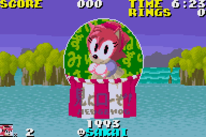 Amy Rose (Sega) Rule 34 Image