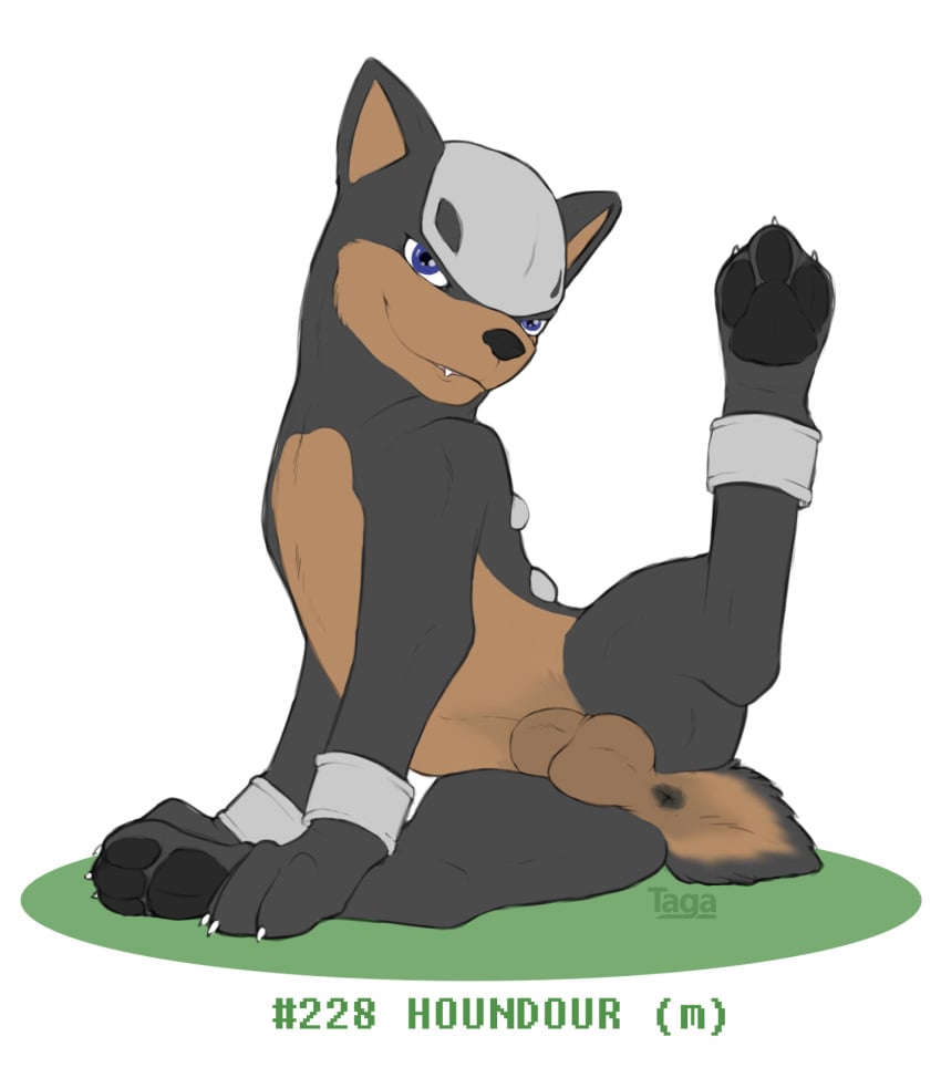 anus balls biting_lip blue_eyes canine doberman feral houndour looking_at_viewer looking_back male male_only mammal nintendo paws pokemon pokemon_(species) pokemon_gsc presenting sheath simple_background smile solo taga video_games white_background