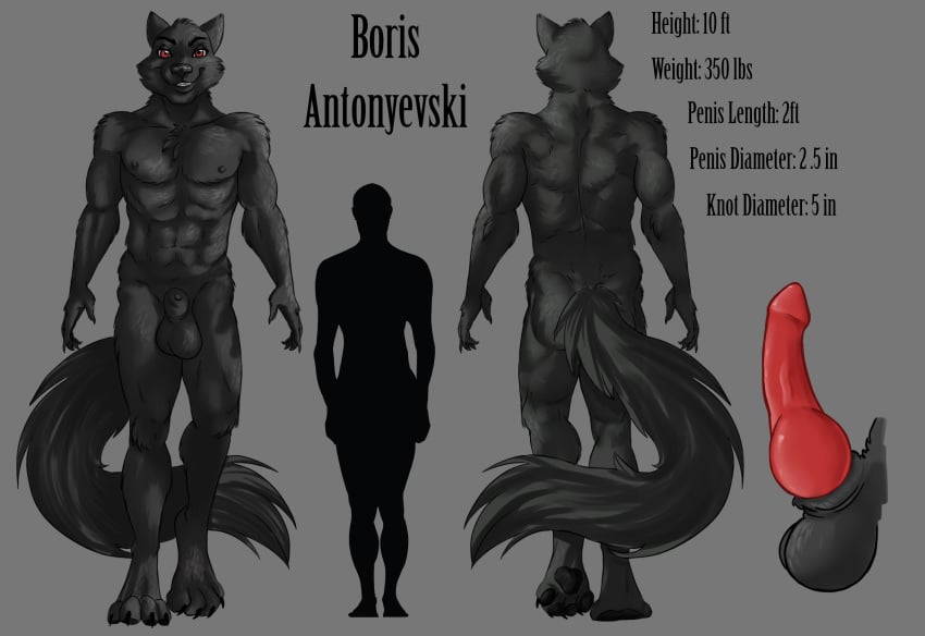 2015 anthro balls big_balls big_penis big_tail black_fur boris_antonyevski canine fur knot lizebra male male_focus male_only mammal nude penis red_eyes reff_sheet simple_background smile solo text wolf