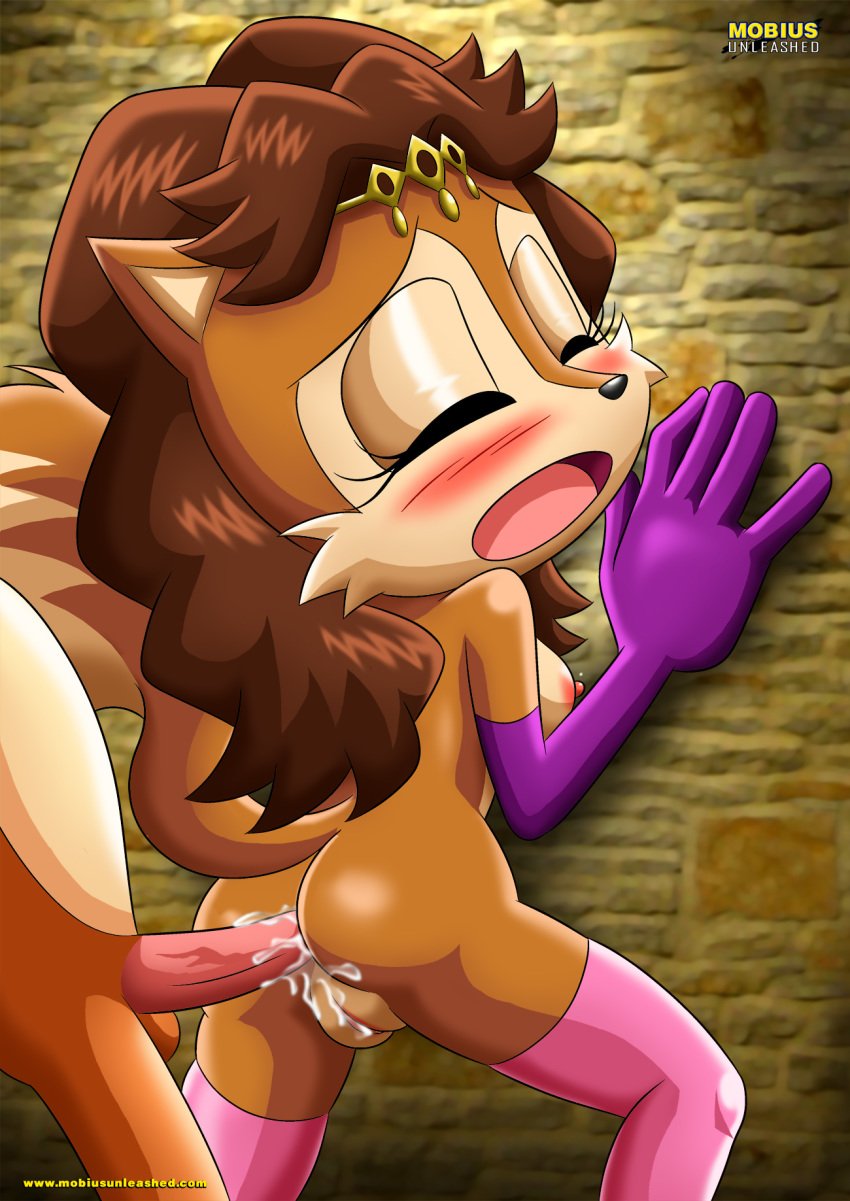 anal blush female furry furry_only megan_acorn mobius_unleashed sex sonic_(series) tagme