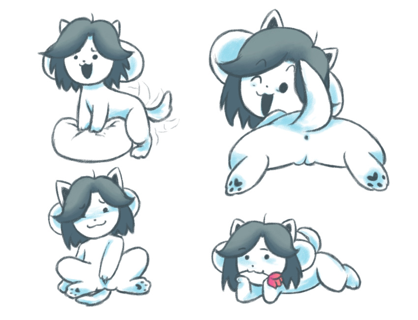Temmie (Undertale) Rule 34 Image