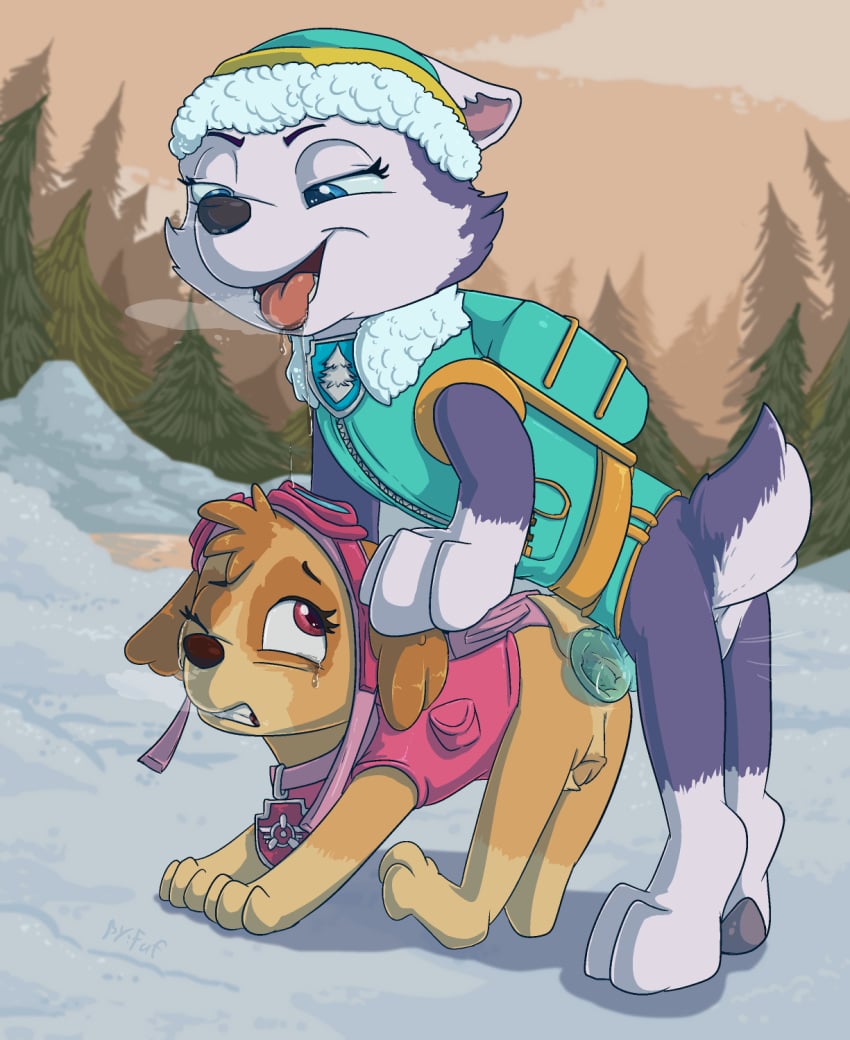 anal anal_sex animal_genitalia canine everest_(paw_patrol) female feral fuf futanari husky intersex knot mammal paw_patrol penetration pussy rape skye_(paw_patrol)