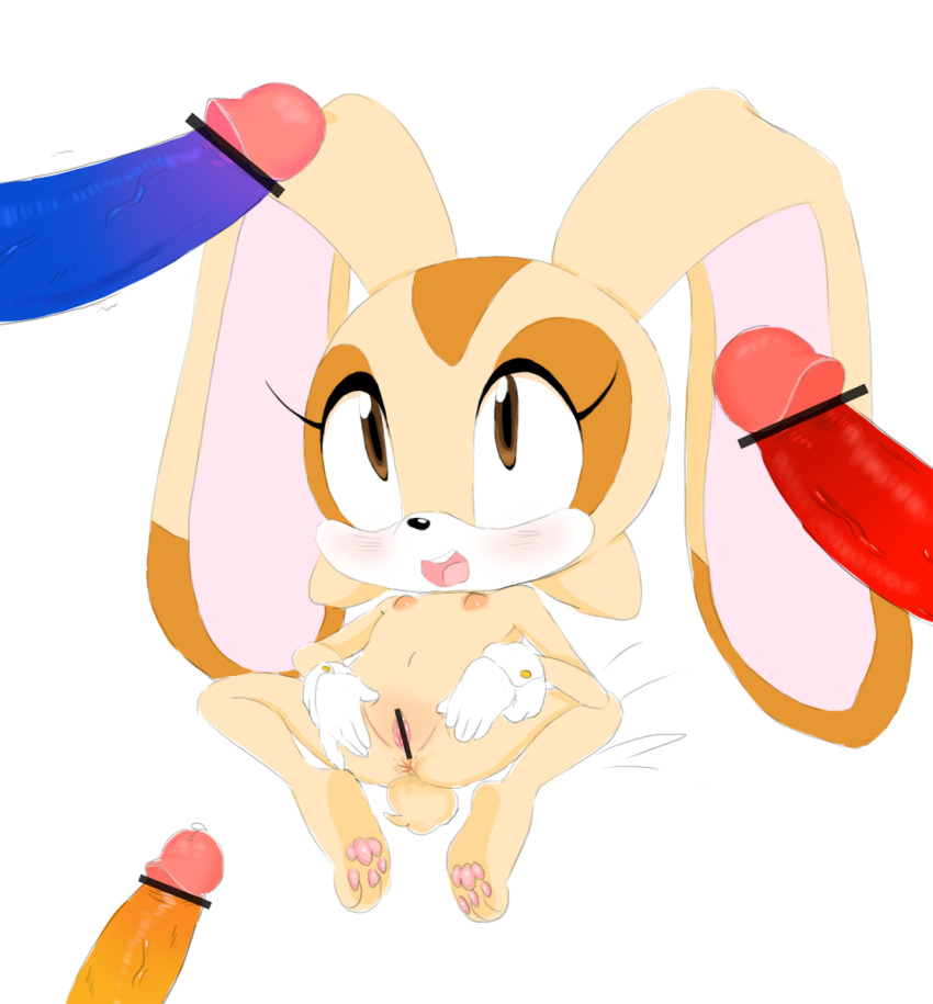 Cream The Rabbit (Sonic (Series)) Rule 34 Image