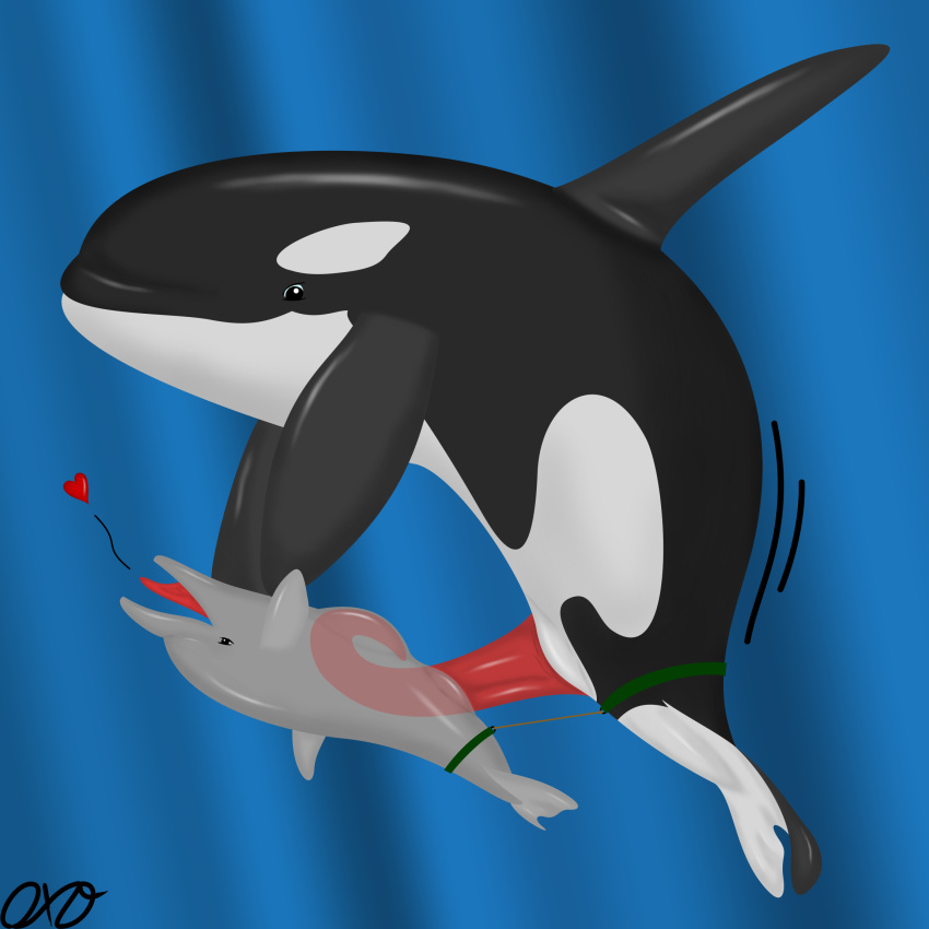 cetacean dolphin heart mammal marine open_mouth orca orcaxdragon size_difference whale