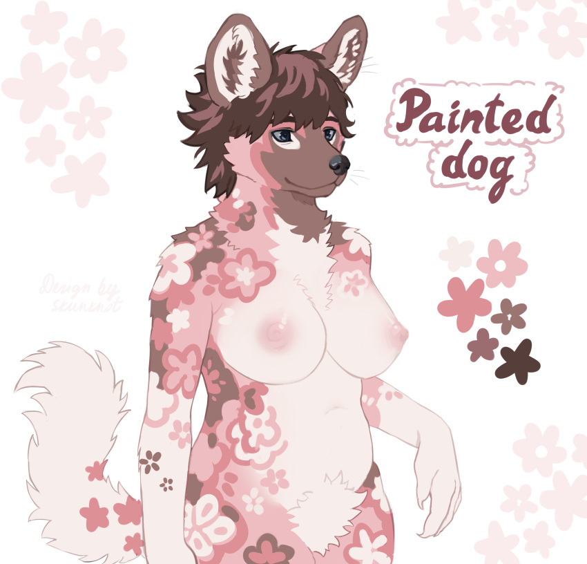 African Painted Dog Rule 34 Image