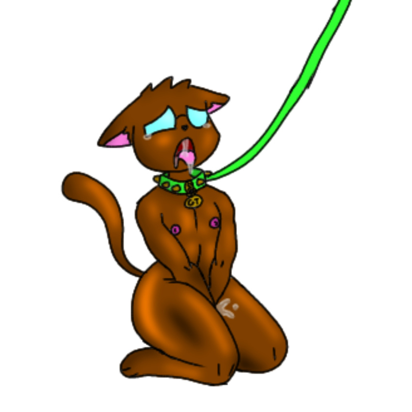 Cat Rule 34 Image
