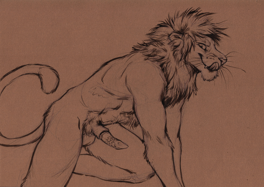 Anthro Rule 34 Image