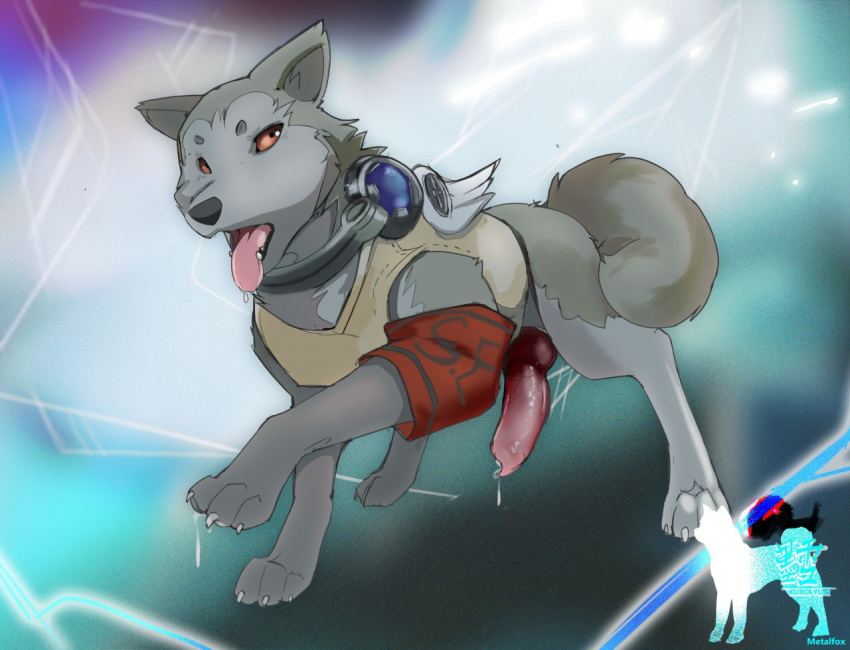 animal_genitalia animal_penis atlus brown_eyes canine canine_penis claws erection feral fur grey_fur koromaru_(megami_tensei) male male_only mammal megami_tensei metalfox open_mouth penis persona precum simple_background standing tongue tongue_out