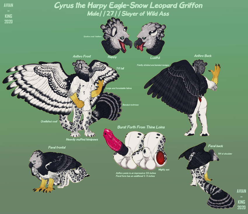 2020 absurd_res accipitrid accipitriform animal_genitalia anthro avian avian-king balls beak big_penis biped bird claws eagle english_text erection feathered_wings feathers felid feral genitals gryphon harpy_eagle hi_res male male_only mammal model_sheet mythological_avian mythology open_mouth open_smile pantherine penis quadruped sheath smile snow_leopard solo tail text tongue tongue_out vein veiny_penis wings