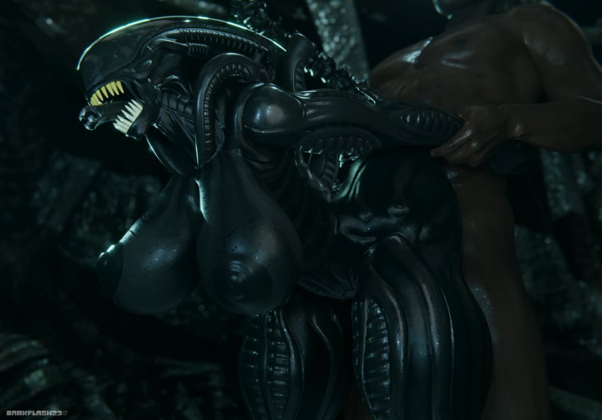 1boy 1girls 1monster 3d alien_(franchise) bent_over big_breasts black_male breasts dark-skinned_male darkflash23 interspecies large_breasts monster_girl nipples no_bra nude_male pov sagging_breasts sharp_teeth standing_sex thick_thighs thighs watermark xenomorph