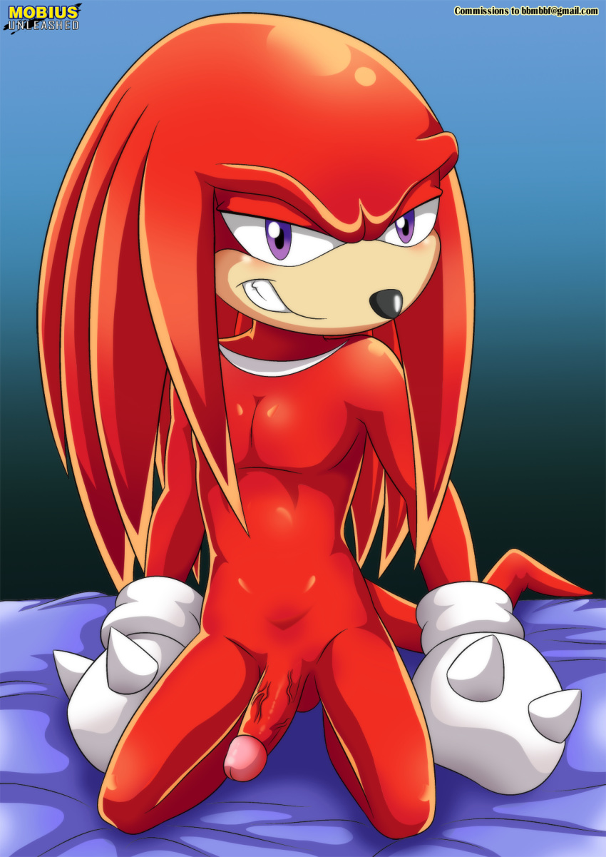 anthro balls bbmbbf bed black_nose blush circumcised clothing cut echidna erection fur gloves grin hair knuckles_the_echidna long_hair looking_at_viewer male male_only mammal mobius_unleashed monotreme palcomix penis purple_eyes red_fur red_hair red_skin shy simple_background smile smirk solo sonic_(series) sonic_x teeth
