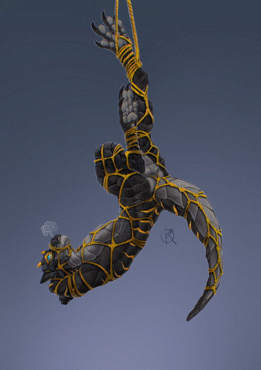 anthro balls black_body black_scales bondage bound breath digital_media_(artwork) digital_painting_(artwork) fog genitals hi_res lizard male nude orange_stripes ponynok reptile restraints rope rope_bondage rope_harness scales scalie solo solo_focus stripes submissive submissive_male suspended_in_midair tagme tail upside-down yellow_rope