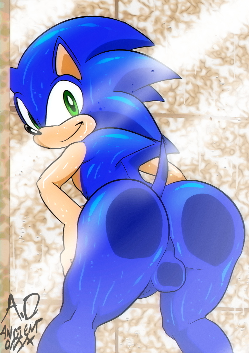 1boy ancient-onyx ass ass_focus balls big_ass big_butt femboy furry furry_only gay hedgehog male male_focus male_only solo solo_focus solo_male sonic_(series) sonic_the_hedgehog sonic_the_hedgehog_(series)