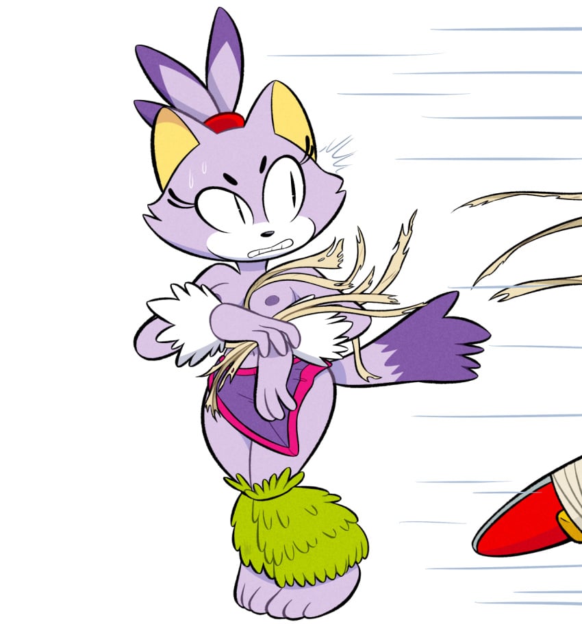 assisted_exposure autobum blaze_the_cat nipples purple_fur sonic_(series) sonic_boom sonic_the_hedgehog torn_clothes