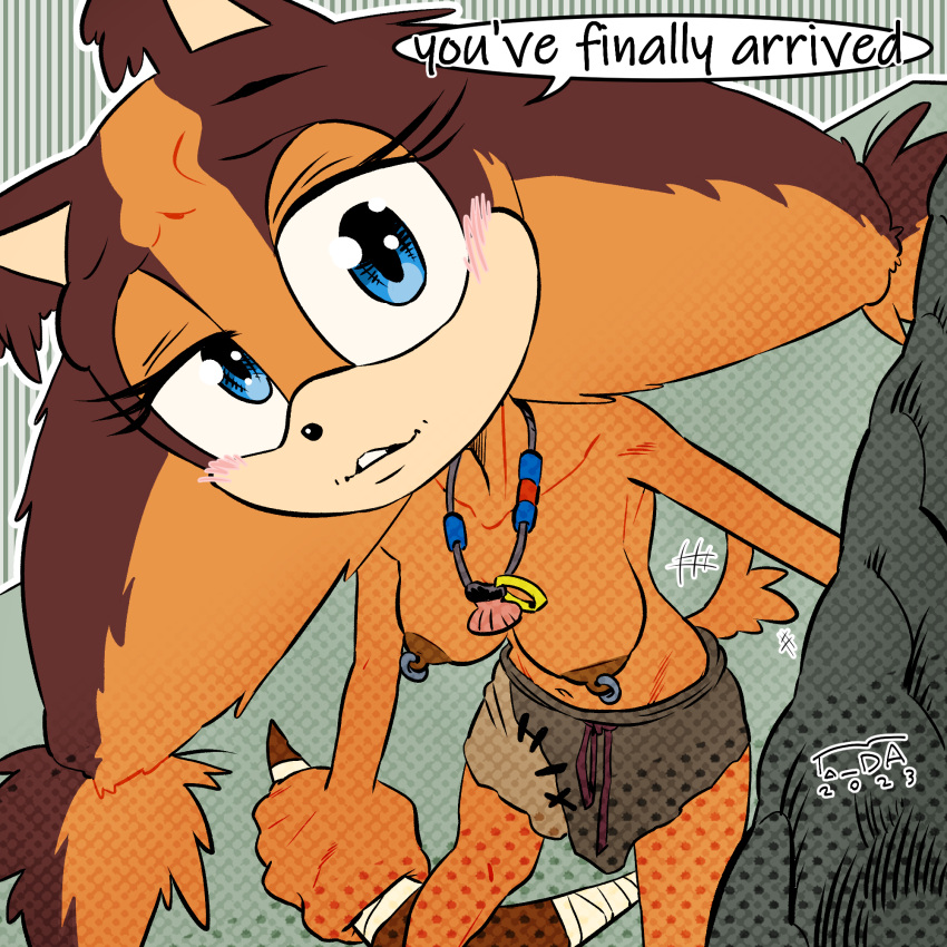 blue_eyes breasts brown_fur brown_hair brown_nipples female_furry furry nipple_piercing nipples sonic_(series) sonic_the_hedgehog_(series) sticks_the_badger sticks_the_jungle_badger ta_da