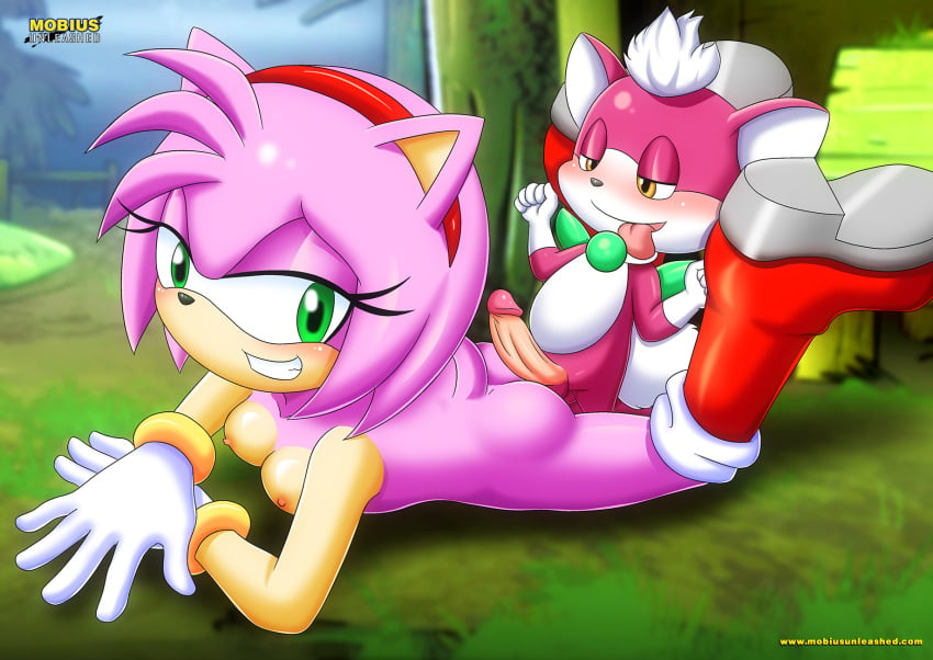 1boy 1girls amy_rose anthro balls bbmbbf blush breasts chip_(sonic) female male male/female mobius_unleashed nipples nude open_mouth palcomix penis sega size_difference sonic_(series) sonic_the_hedgehog_(series) teeth tongue tongue_out