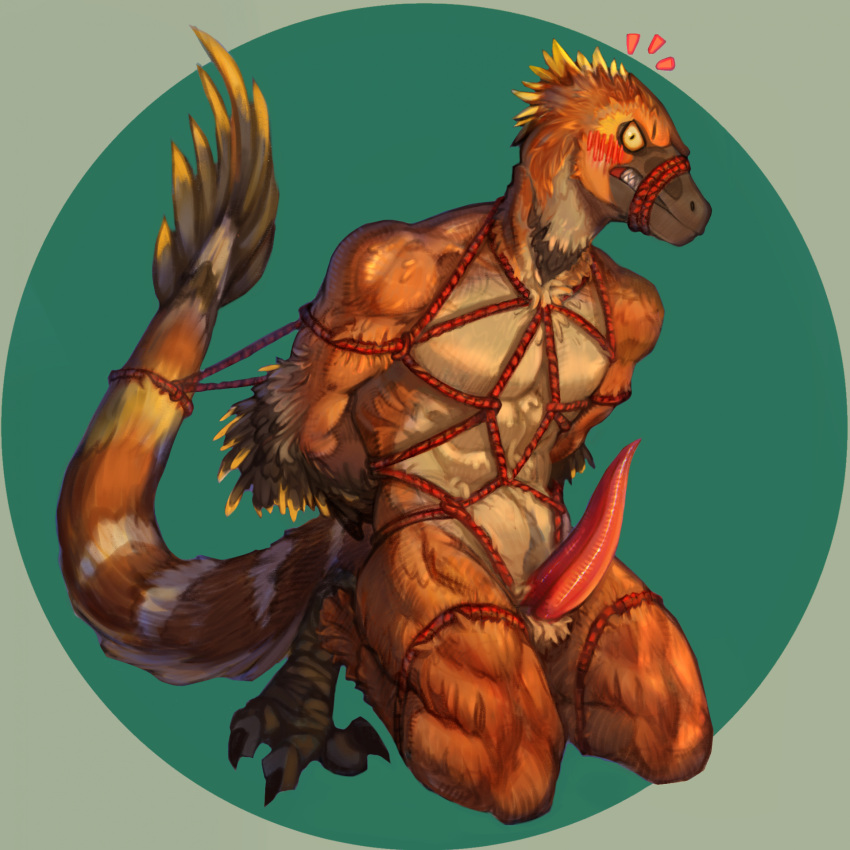 angry anthro bandit_(beakiehelmet) big_penis blush bondage bound danelaxy_(artist) dinosaur dromaeosaurid feathered_dinosaur feathers feet gag genitals hi_res kneeling looking_at_viewer male muscular muscular_male orange_body orange_feathers penis reptile rope scalie solo talons theropod toes