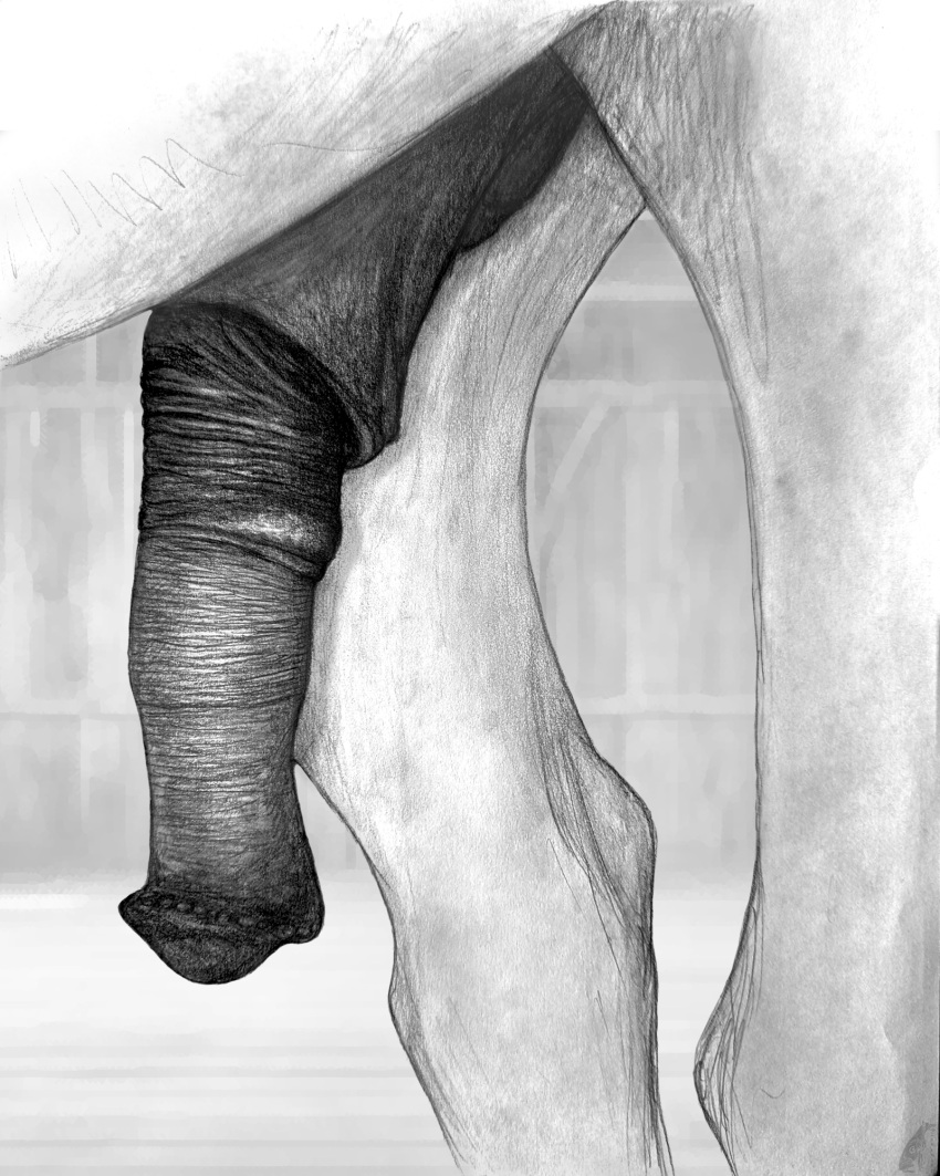 animal_genitalia animal_penis darkmare equid equine equine_genitalia equine_penis eunuch feral genitals graphite_(artwork) greyscale half-erect hi_res horse male mammal monochrome penis realistic_feral sheath solo traditional_media_(artwork)